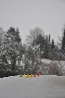 gummi bears
