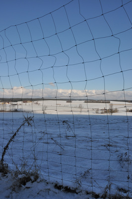 fence