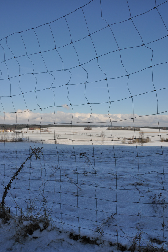 fence