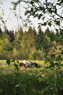 DSC_0348