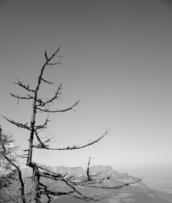 kehlstein