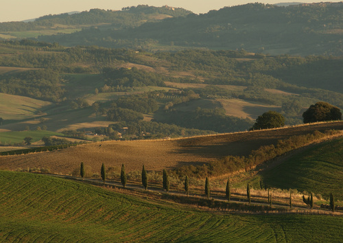Bei Volterra