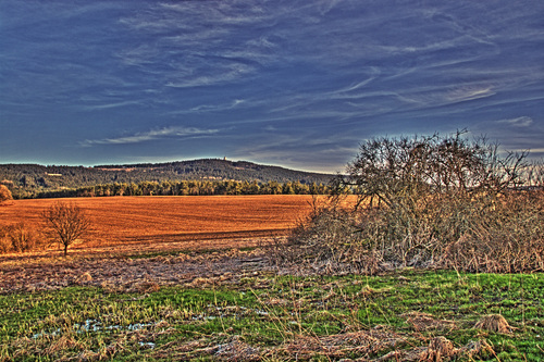 HDR Frais
