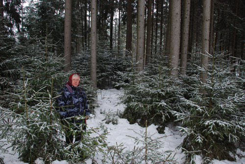 2012_12_21