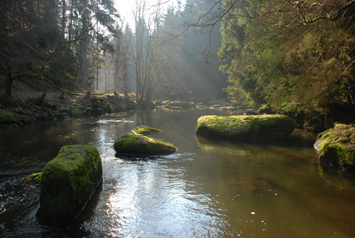 Waldnaabtal